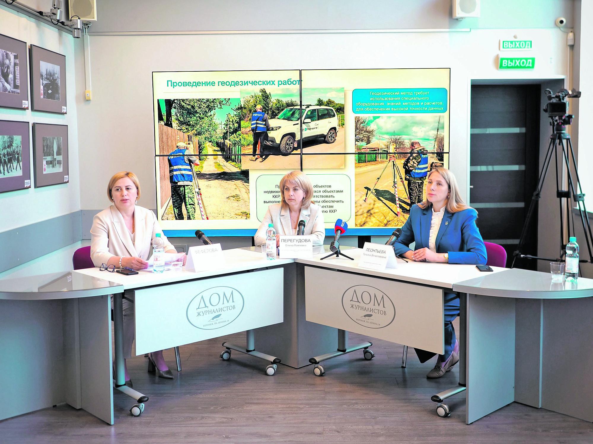 Для чего в Воронежской области проводятся комплексные кадастровые работы 